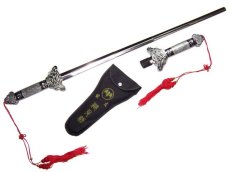 Espada China, Jian Retractil en Lamina para Tai Chi y Formas de Kung fu